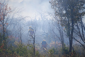 September 2007 Brush Fire September 2007 Brush Fire