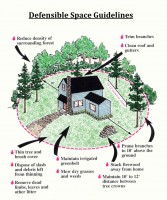 Defensible Space Guidelines