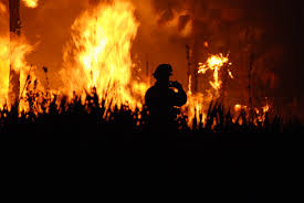 Park City Wildfire Information